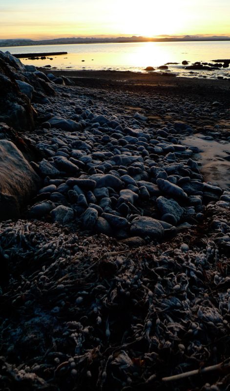 Prjonakerling – Hélène Magnússon