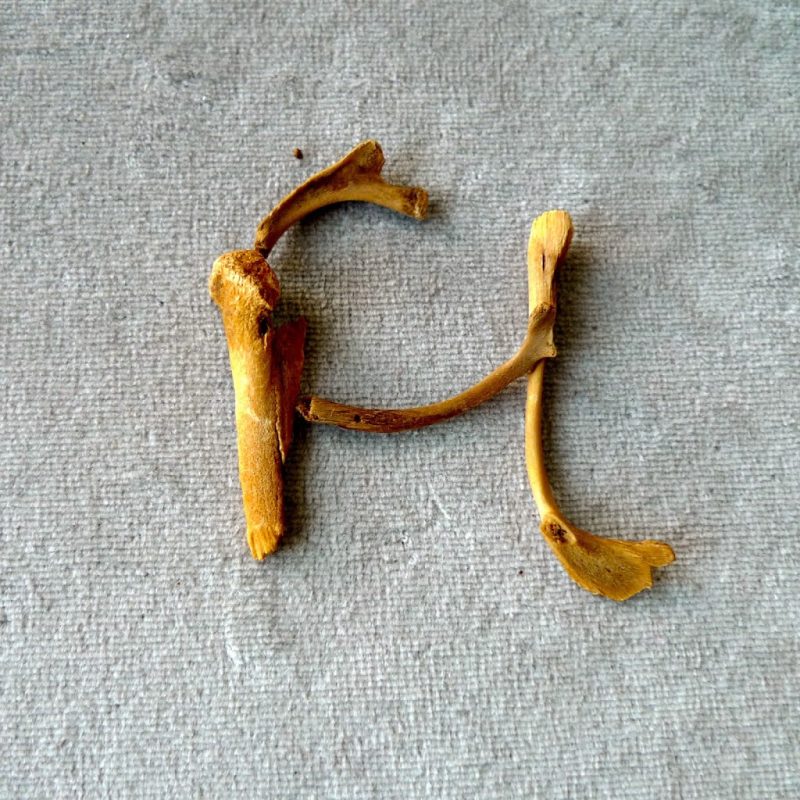 Prjonakerling – Hélène Magnússon