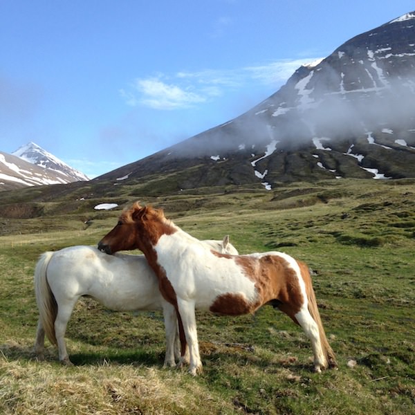 Prjonakerling – Hélène Magnússon