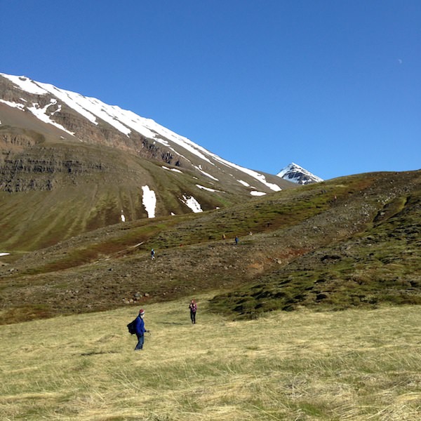 Prjonakerling – Hélène Magnússon