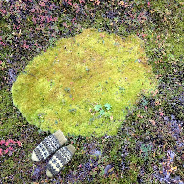 Prjonakerling – Hélène Magnússon