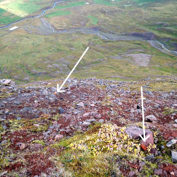 Prjonakerling – Hélène Magnússon