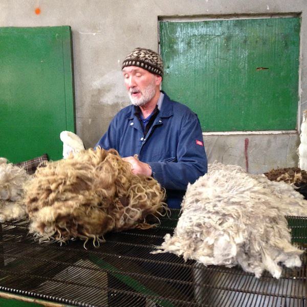 Prjonakerling – Hélène Magnússon