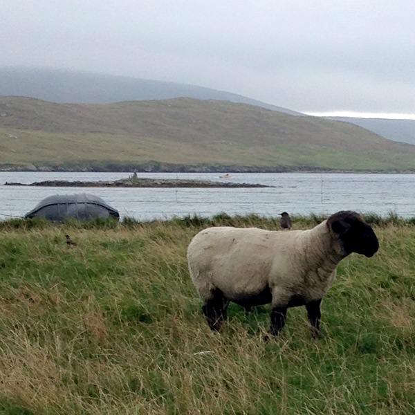 Prjonakerling – Hélène Magnússon