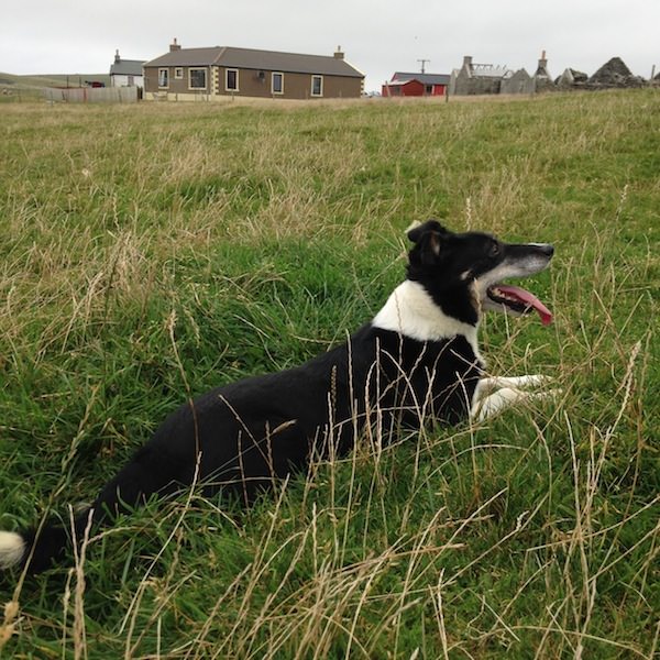 Prjonakerling – Hélène Magnússon