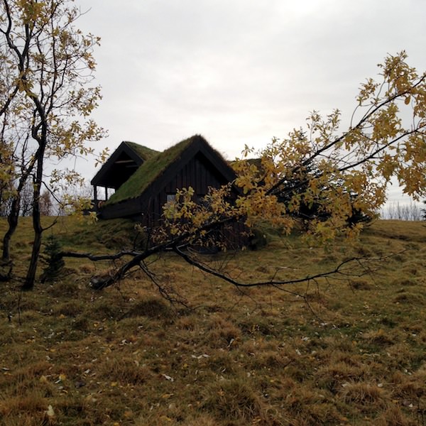 Prjonakerling – Hélène Magnússon