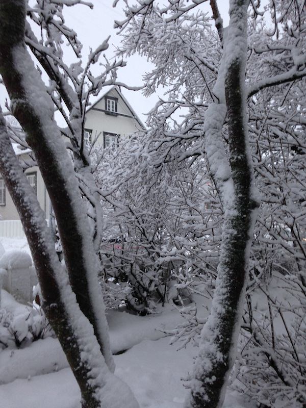 Prjonakerling – Hélène Magnússon