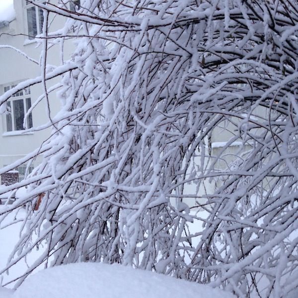 Prjonakerling – Hélène Magnússon