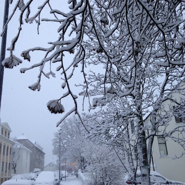 Prjonakerling – Hélène Magnússon