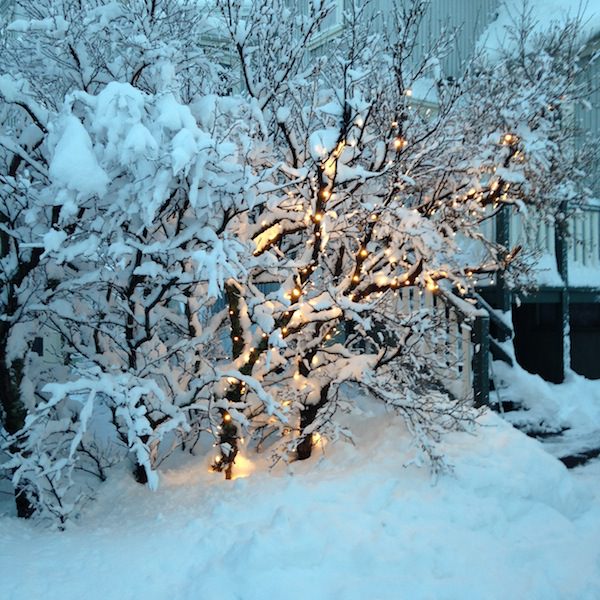 Prjonakerling – Hélène Magnússon