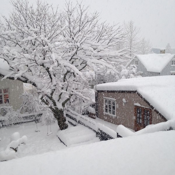 Prjonakerling – Hélène Magnússon