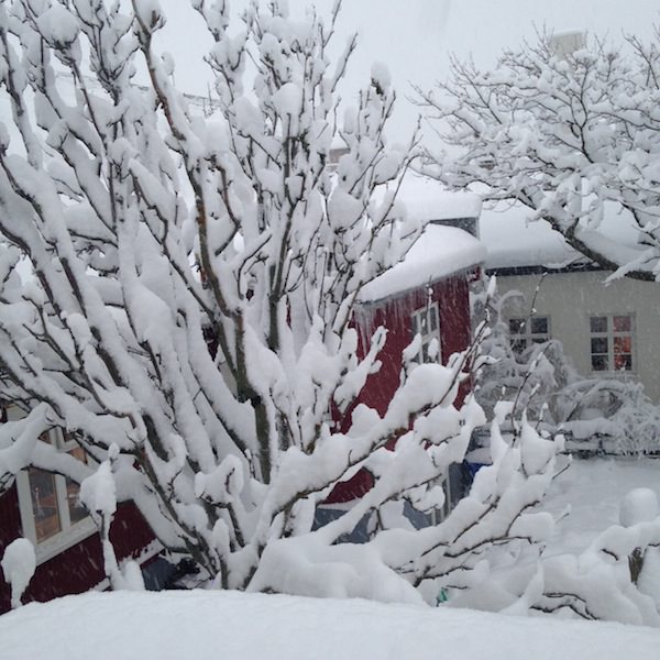 Prjonakerling – Hélène Magnússon