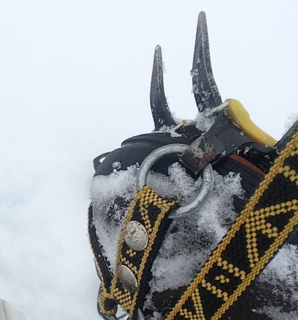 Prjonakerling – Hélène Magnússon