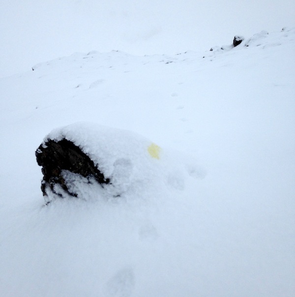 Prjonakerling – Hélène Magnússon