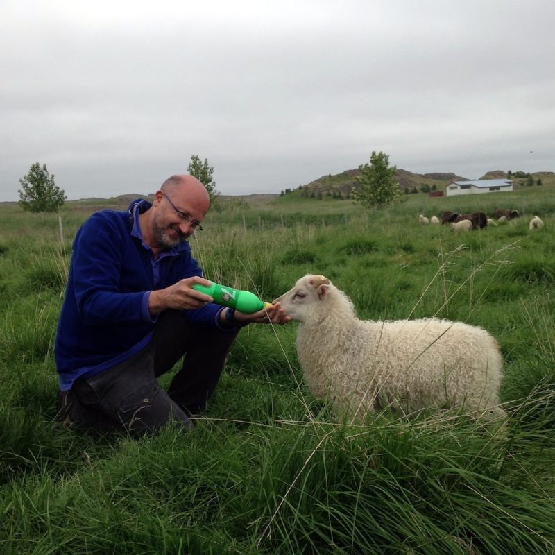 Prjonakerling – Hélène Magnússon