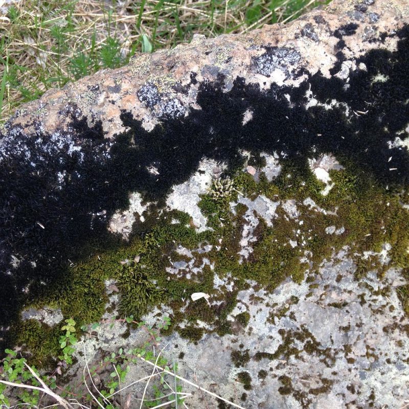 Prjonakerling – Hélène Magnússon