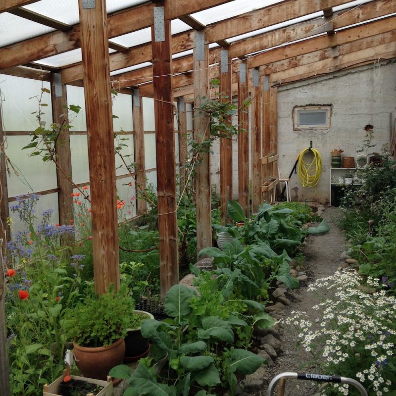 Prjonakerling – Hélène Magnússon