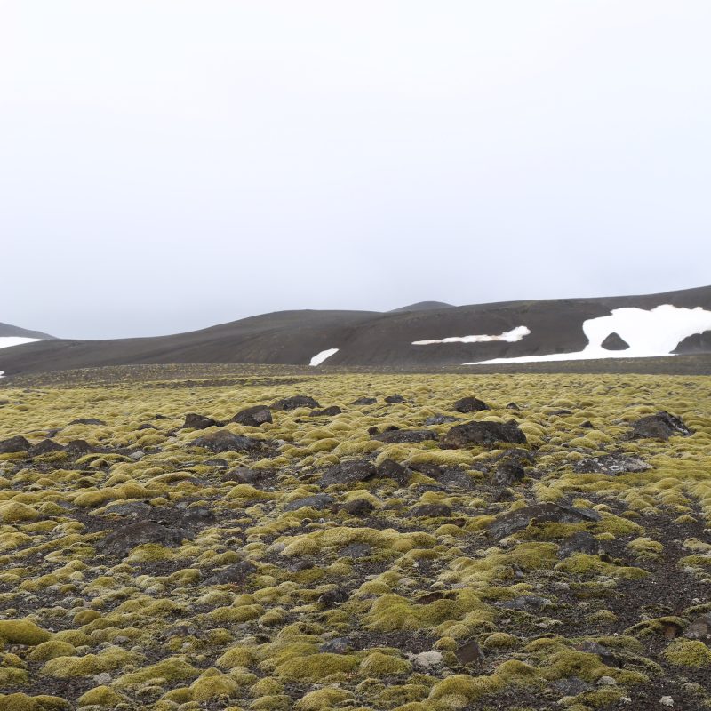 Prjonakerling – Hélène Magnússon