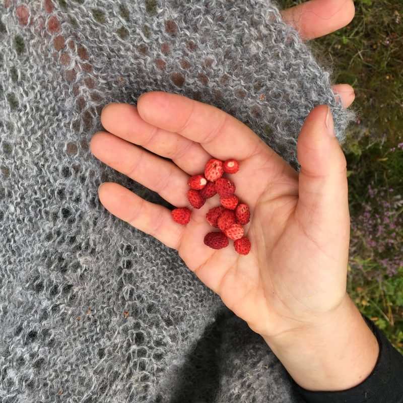 Prjonakerling – Hélène Magnússon