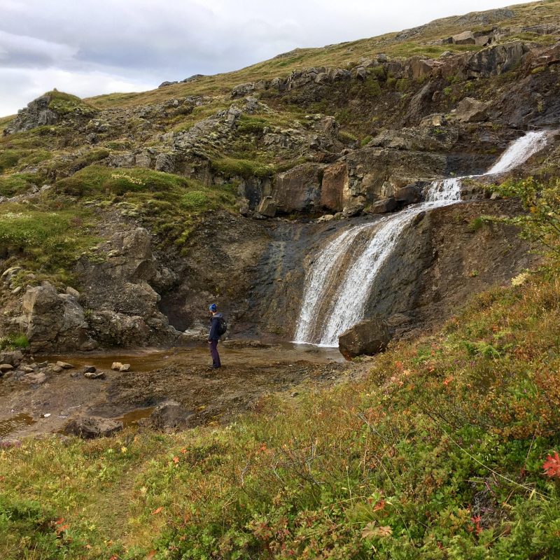 Prjonakerling – Hélène Magnússon