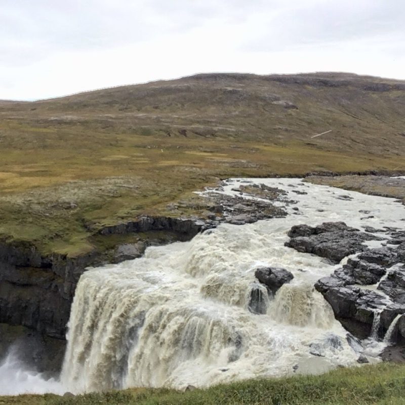 Prjonakerling – Hélène Magnússon