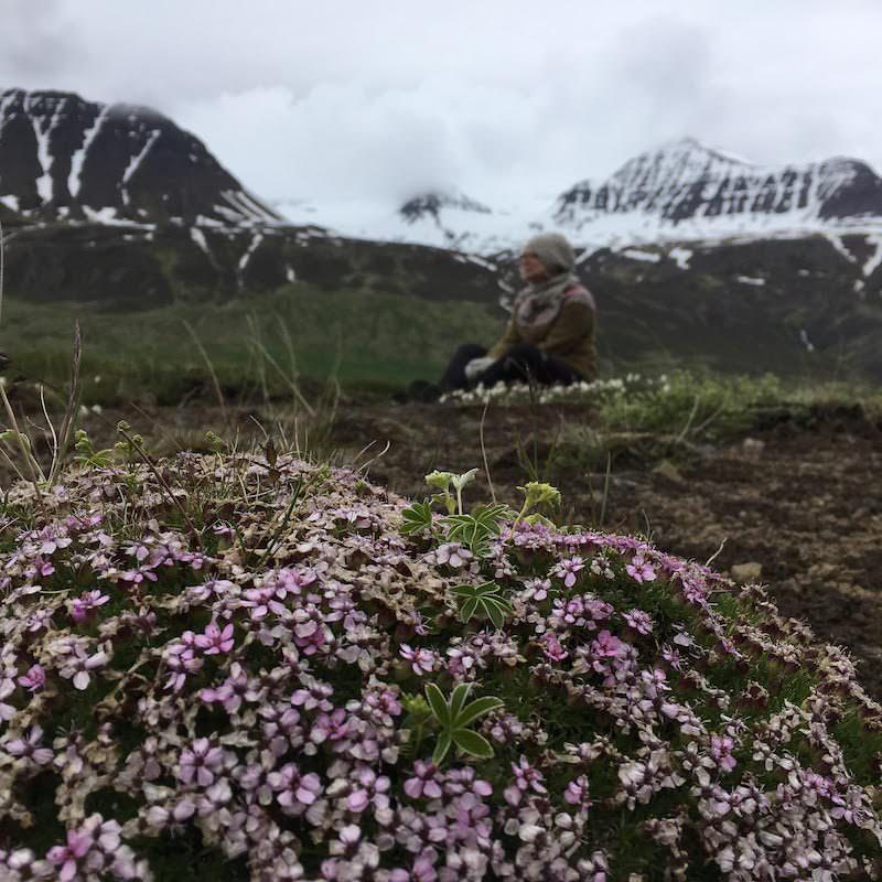 Prjonakerling – Hélène Magnússon