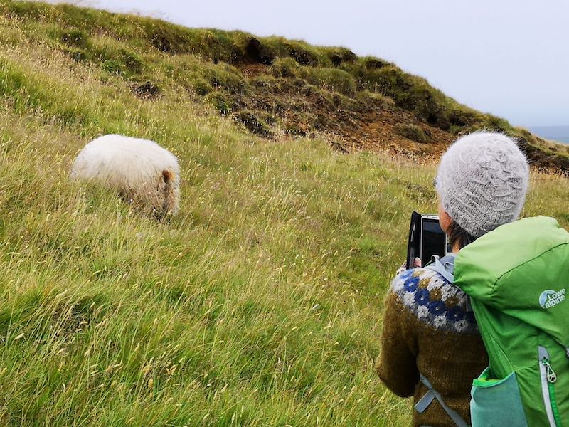 Prjonakerling – Hélène Magnússon