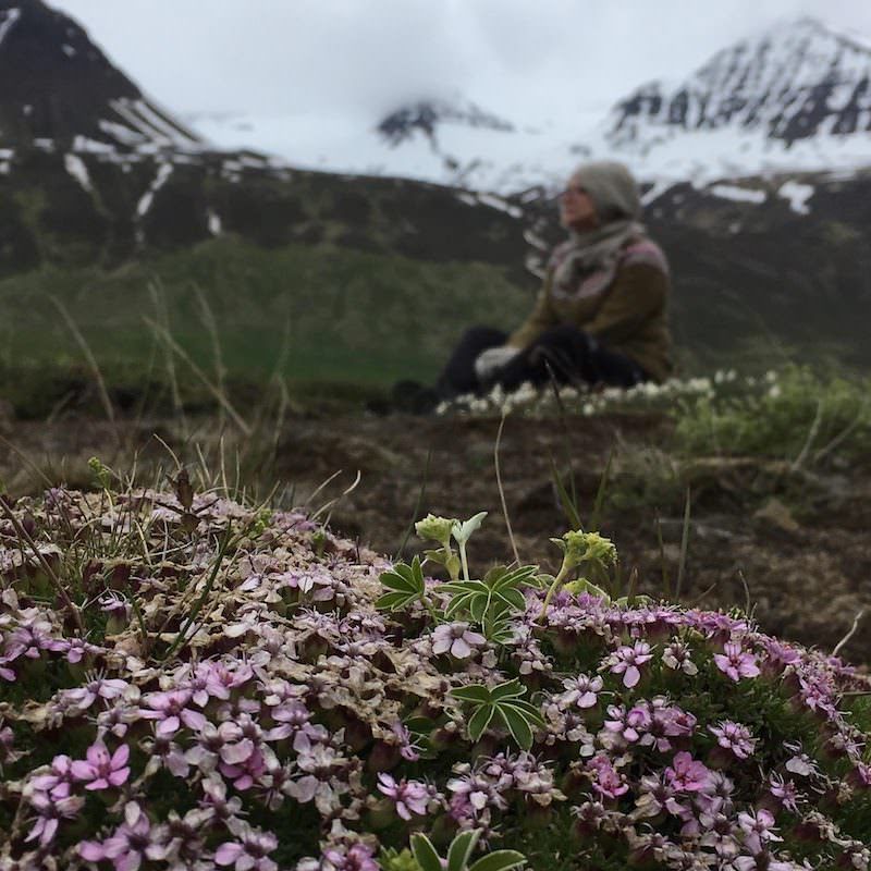 Prjonakerling – Hélène Magnússon