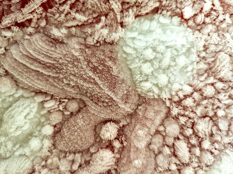 Prjonakerling – Hélène Magnússon