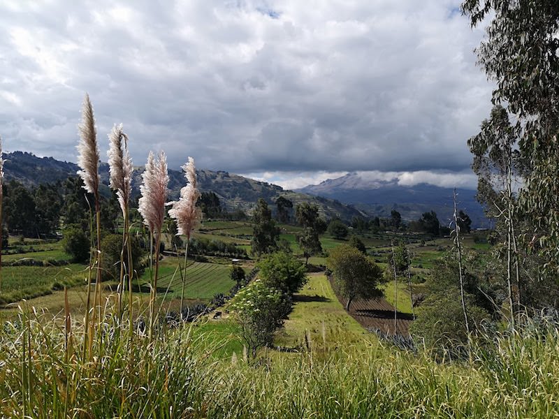 Prjonakerling – Hélène Magnússon