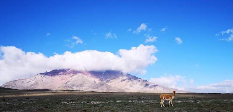 Prjonakerling – Hélène Magnússon