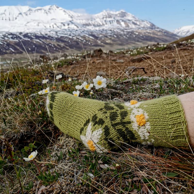 Prjonakerling – Hélène Magnússon