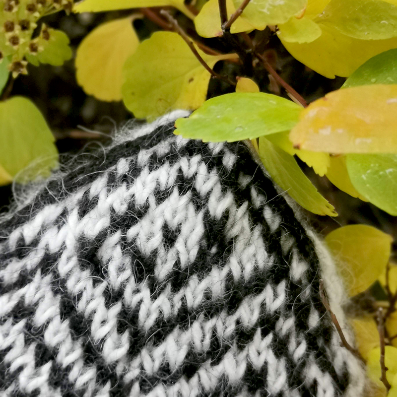 Rollavettlingar - Image 6